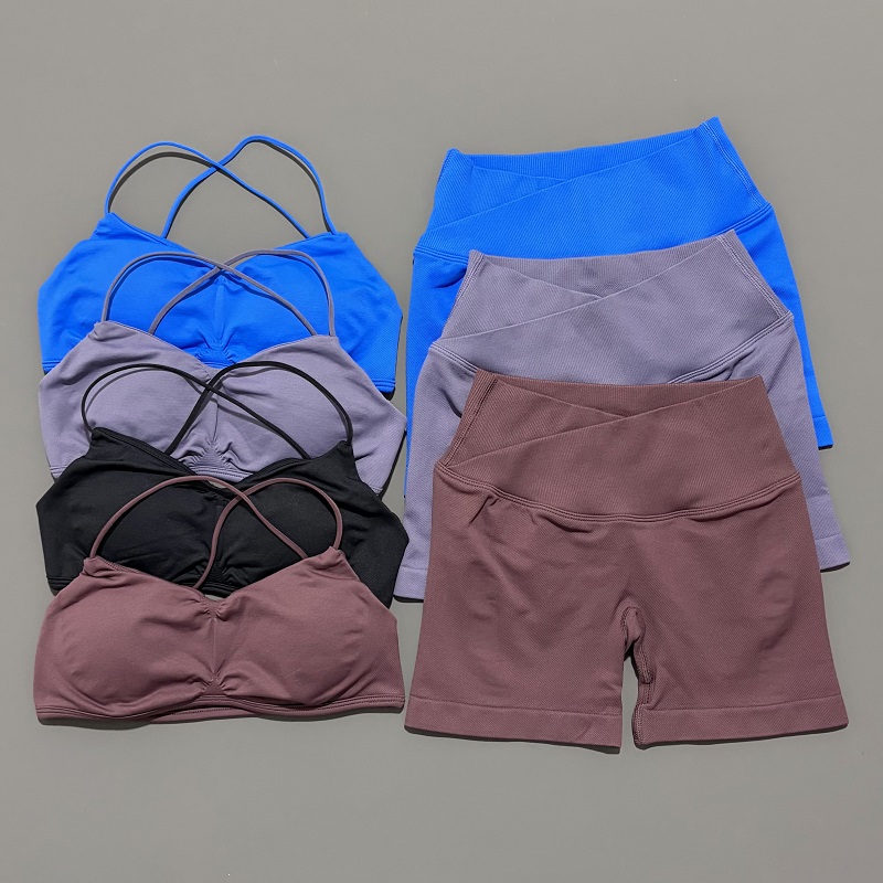 Conjunto de gimnasio de visión - Yoga Fitness Outfit reseña y precio