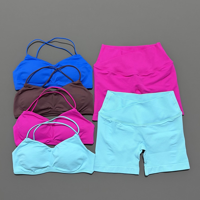 Conjunto de gimnasio de visión - Yoga Fitness Outfit reseña y precio