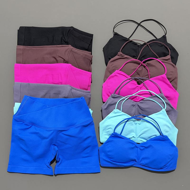 Conjunto de gimnasio de visión - Yoga Fitness Outfit reseña y precio